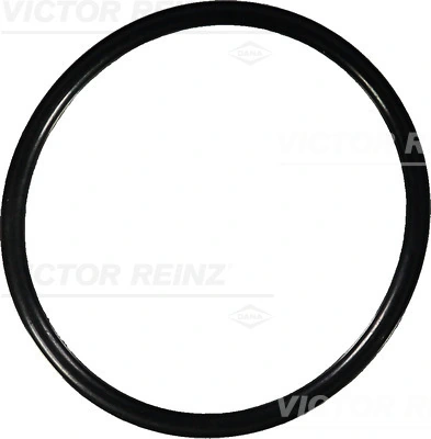 Seal Ring